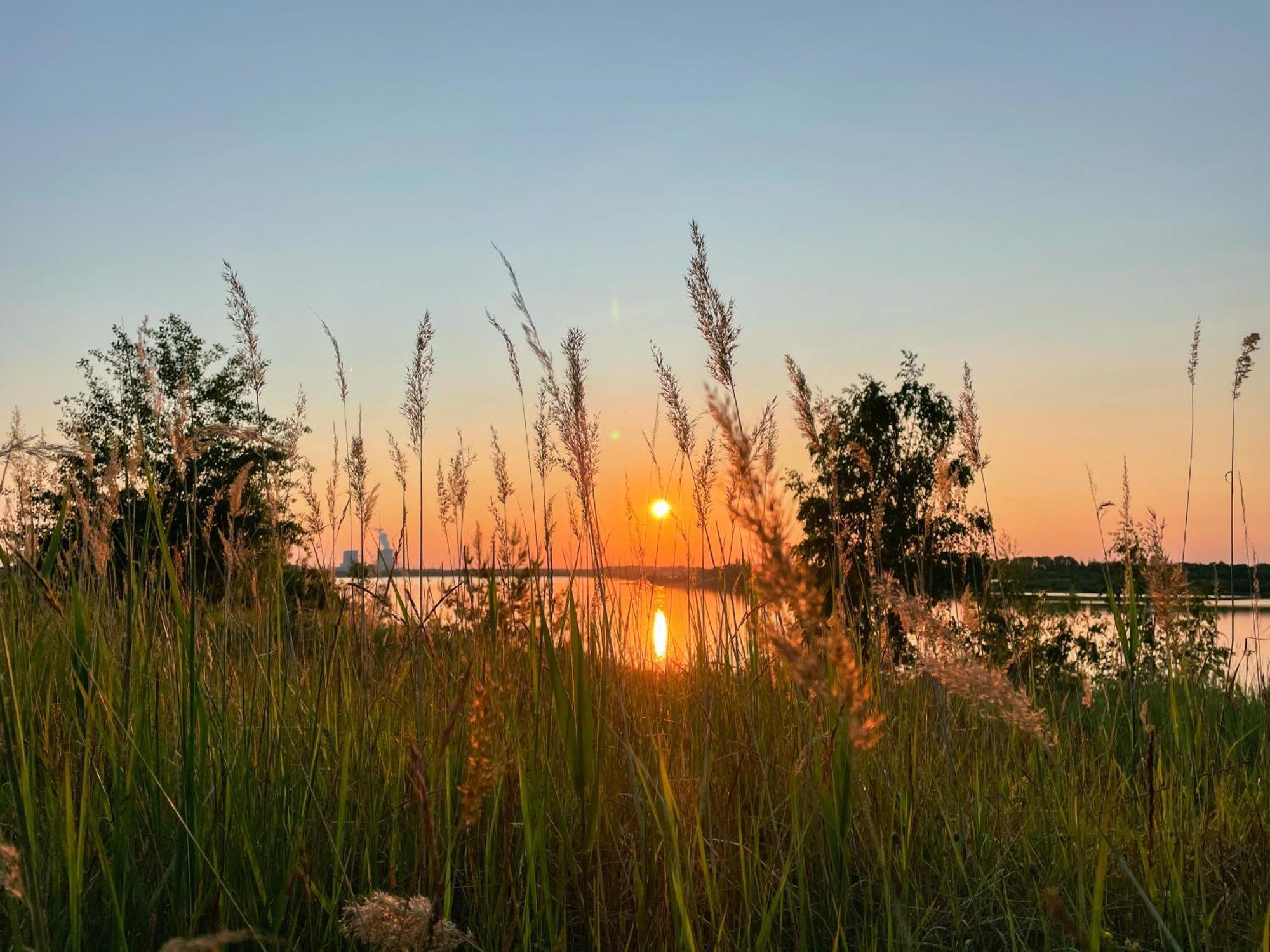 Haus Im Schilf 1 - Ferienwohnungen Am Hainer See Bei Leipzig Neukieritzsch Εξωτερικό φωτογραφία