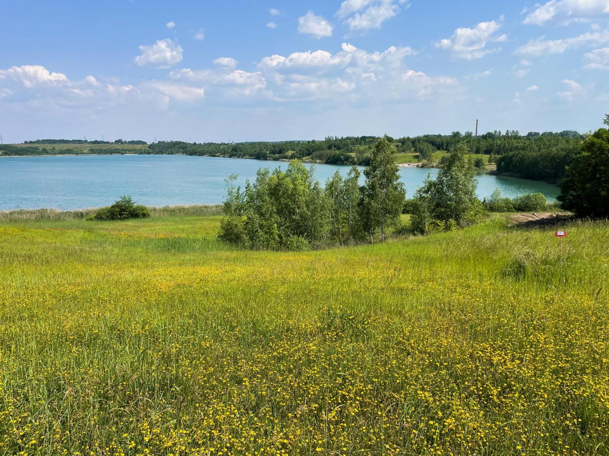 Haus Im Schilf 1 - Ferienwohnungen Am Hainer See Bei Leipzig Neukieritzsch Εξωτερικό φωτογραφία